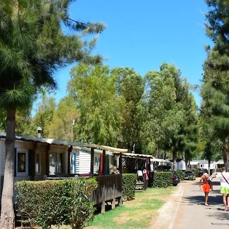 Mobil-home Neuf 6 A 8 Pers Au Les Palmiers, مكان تخييم *