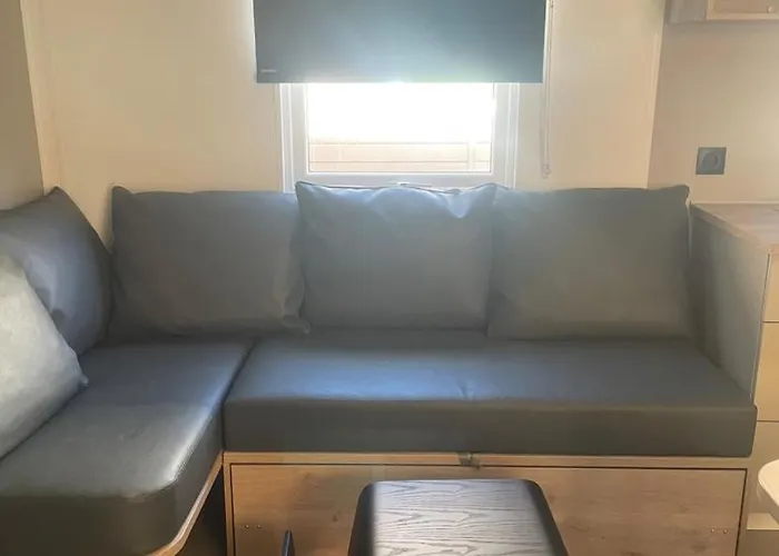 Mobil-home Neuf 6 à 8 Pers Au Les Palmiers, *