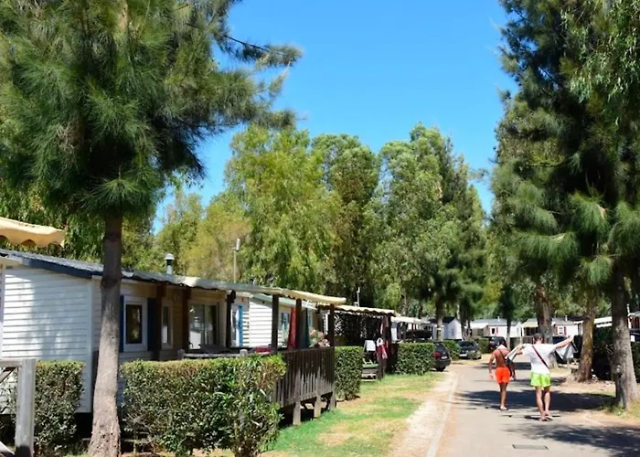 Mobil-home Neuf 6 à 8 Pers Au Les Palmiers, Campeggio *