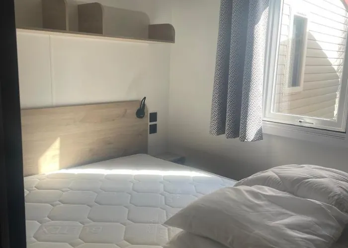 Mobil-home Neuf 6 à 8 Pers Au Les Palmiers, Campeggio *