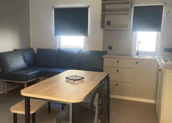 Mobil-home Neuf 6 à 8 Pers Au Les Palmiers, * Hyères